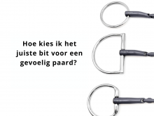 Welk bit voor een gevoelig paard?