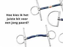 Welk bit voor een jong paard?