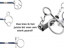 Welk bit voor een sterk paard?